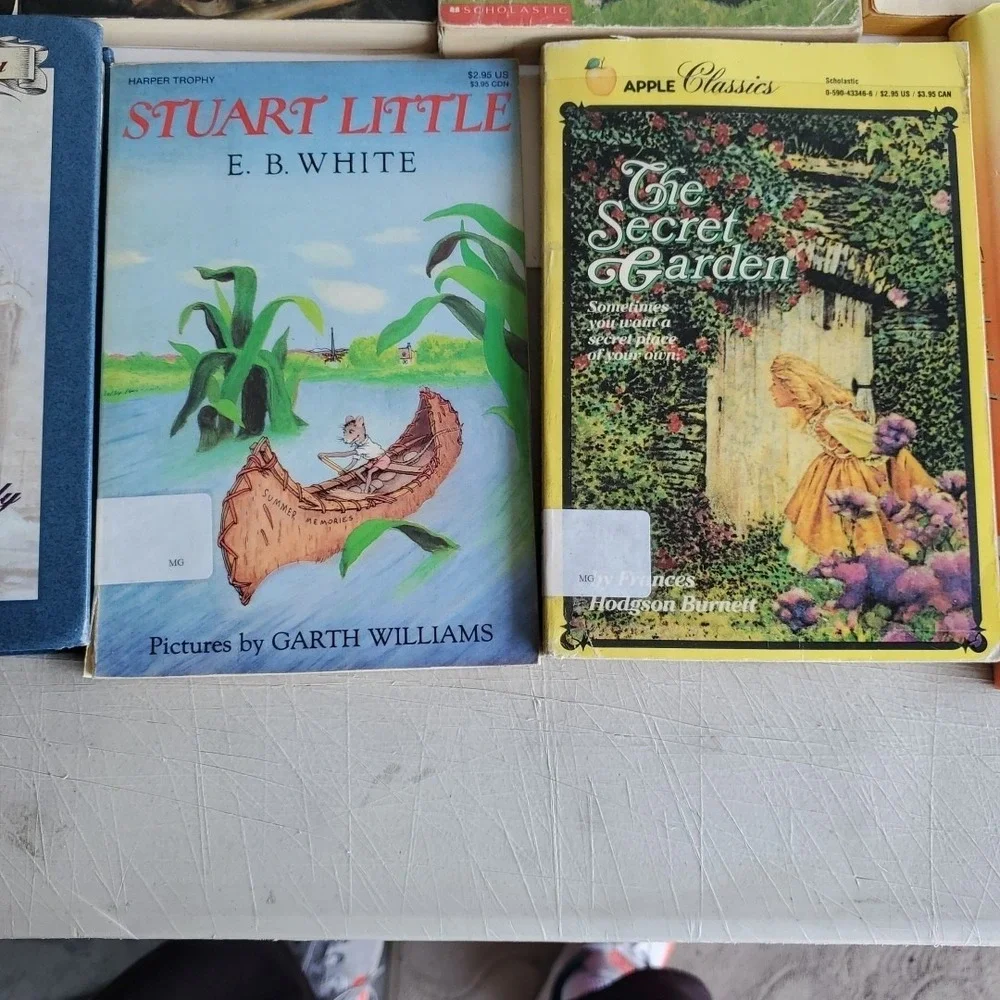Lot of 22 Books Level 6/7 RL Misc Titles MIX Youth Teacher Library Homeschool‎